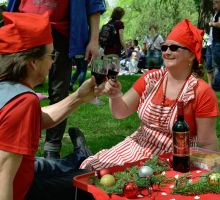 07 piknik joulu harma1
